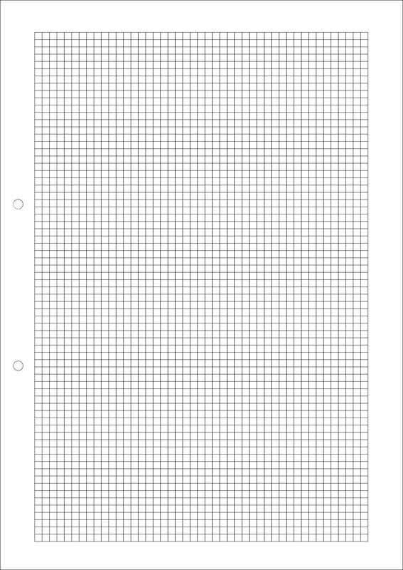 Natura line Notizbuch-Einlagen A4, kariert 4 mm, mit Rand, 2-fach gelocht, 90 g/m² – 500 Blatt