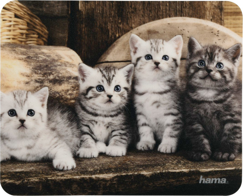 Hama Mausmatte Tiere – 220 × 180 × 1 mm, Mehrfarbig