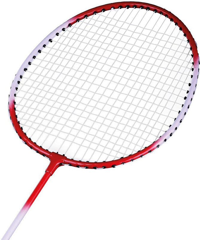Champ Badminton-Set – für 4 Spieler, inkl. 4 Schläger, 3 Nylon-Federbälle, Netz – 20,5 × 66 cm