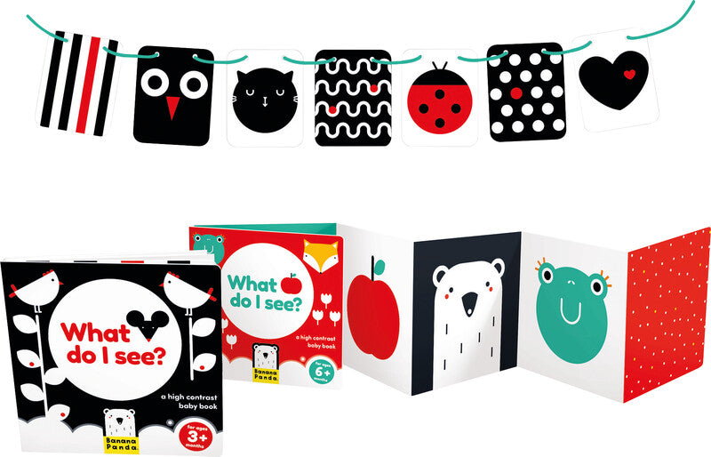 Banana panda Buch – High Contrast Baby Pack, 2 Leporello-Bücher, 7 Bildkarten, ab 0–3 Monaten