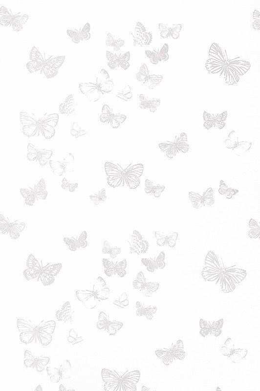 Zoewie Geschenkfolie – BOPP-Folie 25 Mikron – 70 cm × 2,5 m – sortiert, transparent