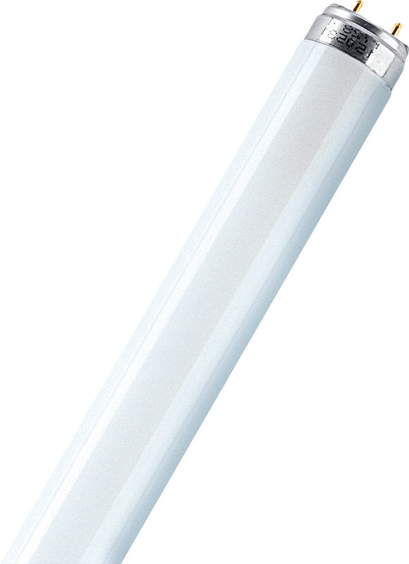 Osram Lumilux T8 Leuchtstoffröhre G13 1200 mm – 36 W, 3350 lm, 4000 K neutralweiss, weiss