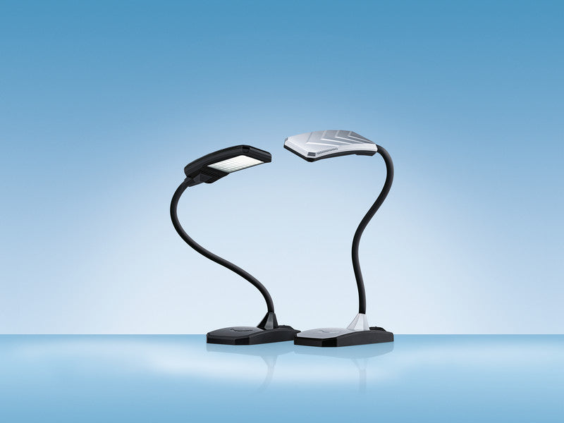 Hansa Tischleuchte – 4300 K Neutralweiss, Dimmbar, USB-Anschluss, 300 lm, Schwarz