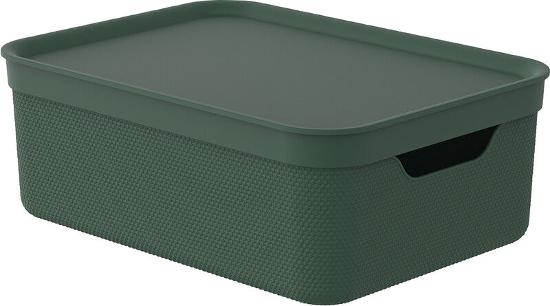 Rotho Alvra Aufbewahrungsbox 10 l (mit Deckel) – Kunststoff – Grün – für A4
