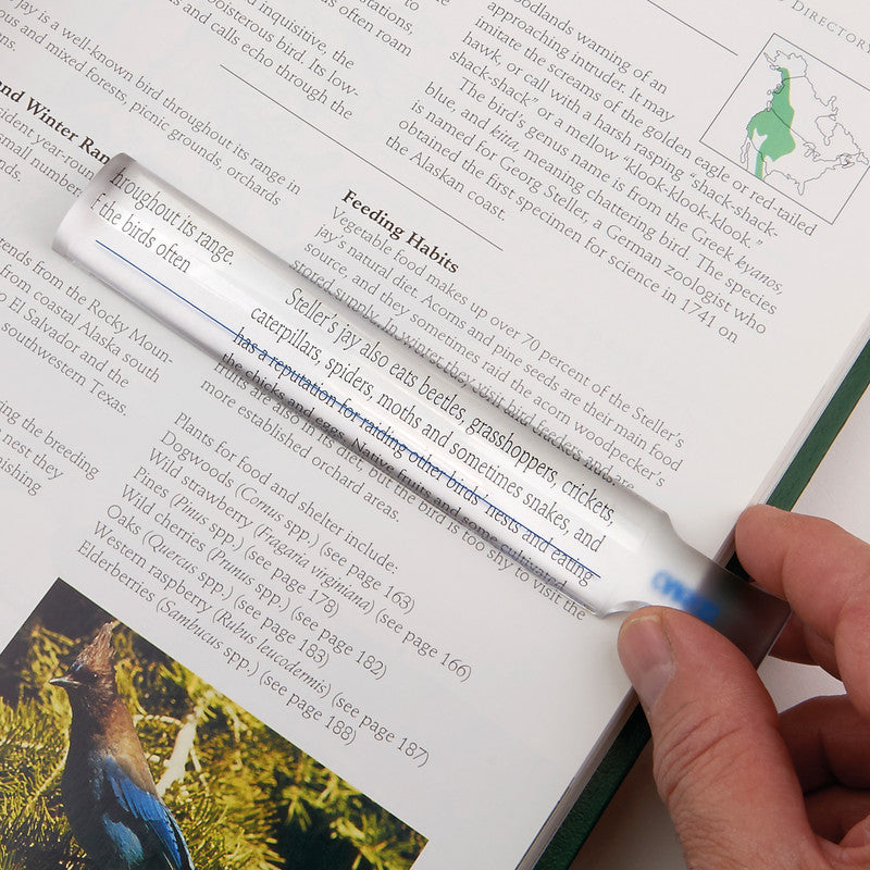 Carson MagniRead – Stablupe – 1,5×, integrierte Führungszeile, transparent