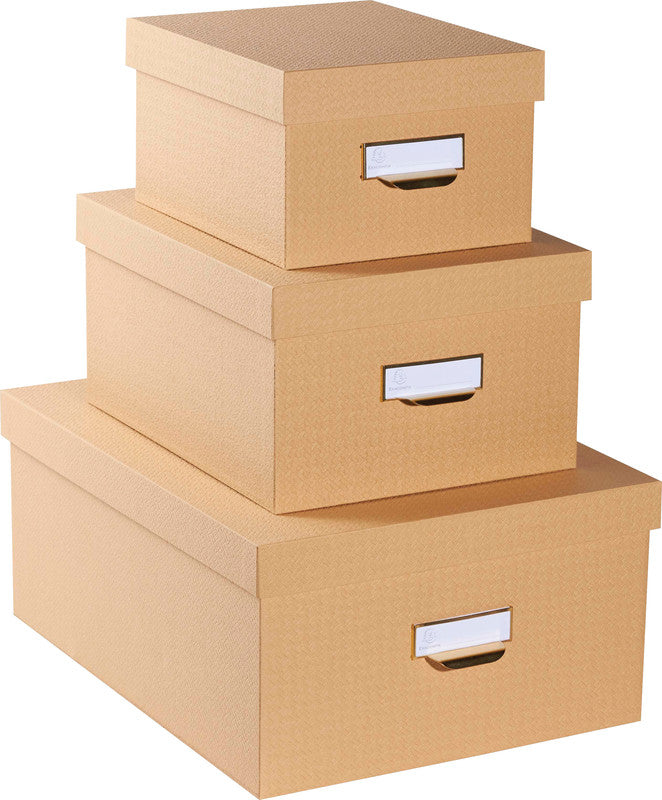 Exacompta Office by Me Archivschachtel A4+ – mit Griffloch, stapelbar, beige, Karton, 3er Set