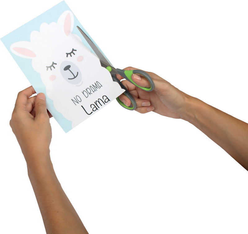 Q-connect Universalschere – 17,5 cm, Edelstahl, für Rechts- und Linkshänder, spitz, Softgrip, Kunststoff, grün