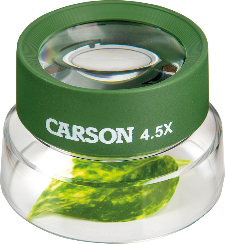 Carson Kids BugLoupe – Becherlupe – 4,5× – Ø 67 mm, Vorfokussierfunktion, Grün