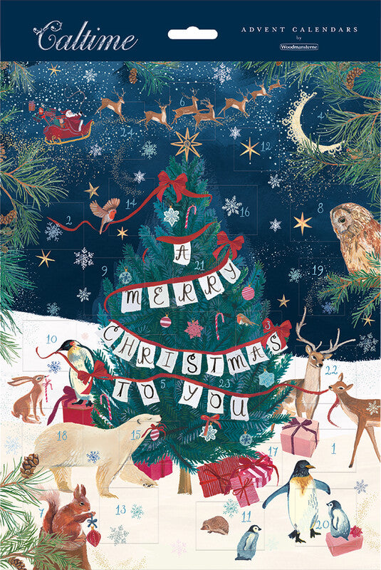 Caltime Adventskalender Tanne im Wald, Karton, sortiert, 24,5 × 32,5 cm – eco:plus