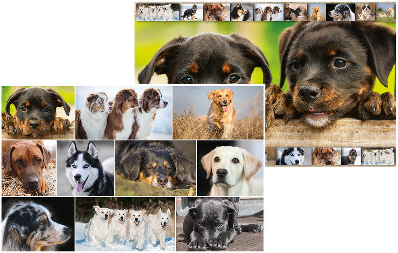 HERMA Schreibunterlage Animals – Hund – 550 × 350 mm – Kunststoff, rutschfest