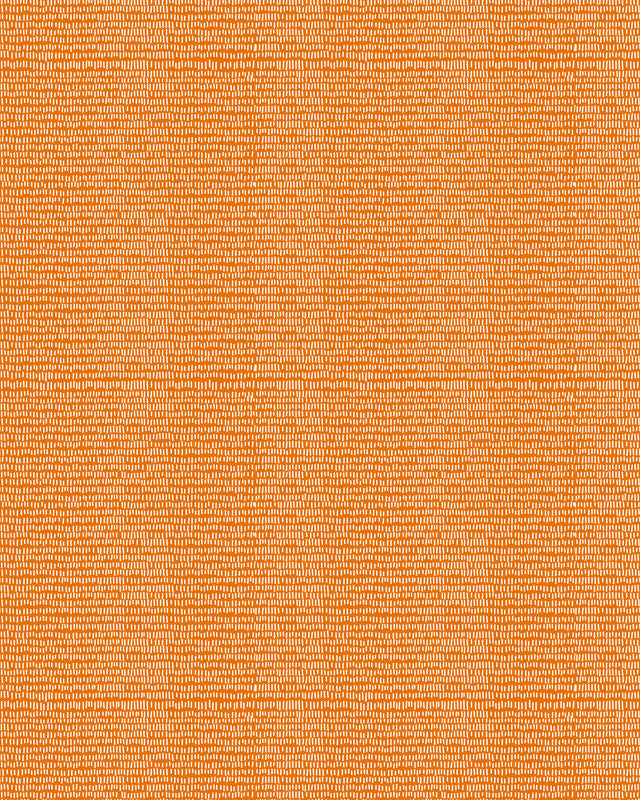 Clairefontaine Geschenkpapier – Herbst – gestrichenes Papier, 80 g/m2 – 70 cm × 2 m