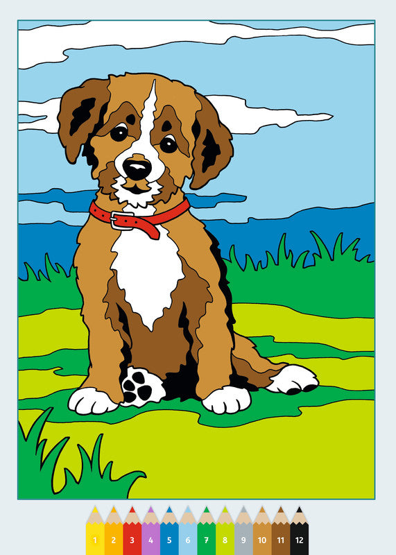 Ravensburger Malen nach Zahlen Malbuch, Karton, 21 × 29,5 cm, mehrfarbig, ab 5 Jahren