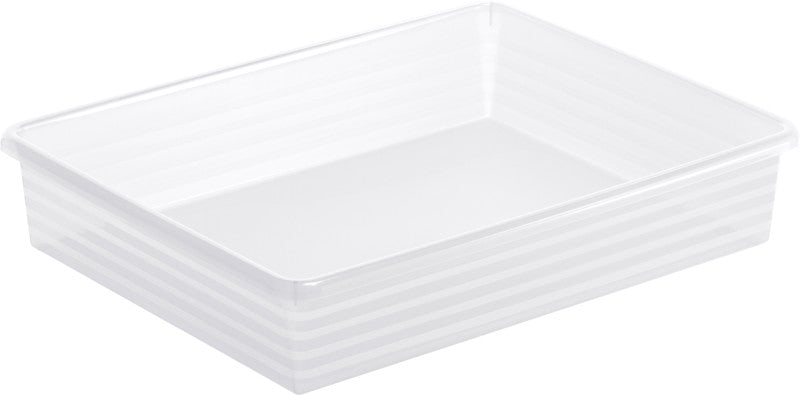 Rotho Formatkörbchen Linus – Kunststoff, transparent, 34,5 × 6 × 27 cm