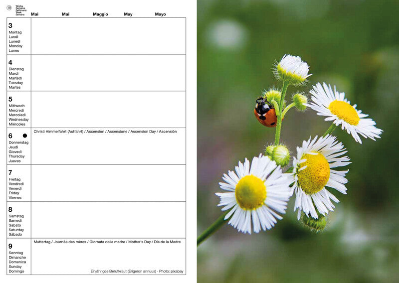 Calendaria Schweizer Foto-Almanach – Wochenagenda 2027, 1 Woche/1 Seite, A5, Spiralbindung