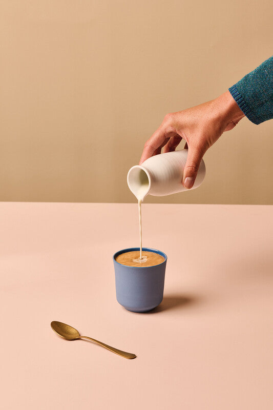 Café Royal Professional Kaffeepads – Nespresso Pro kompatibel