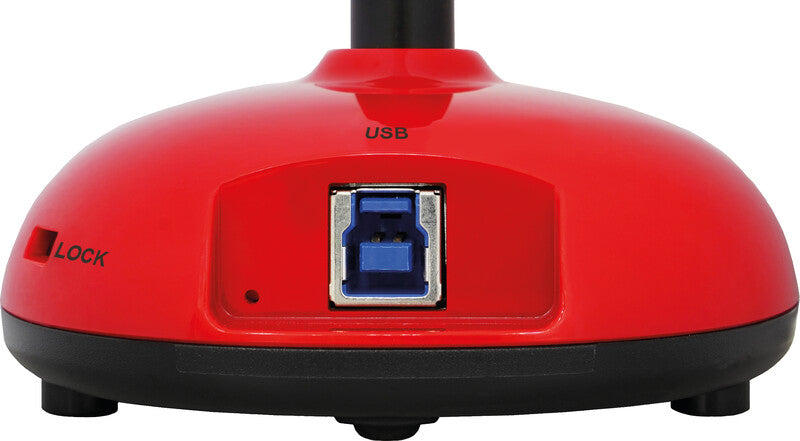 Lumens DC-136 Ladibug – Visualizer (Dokumentenkamera) – 4K, 16× optischer Zoom, USB 3.0, integriertes Mikrofon
