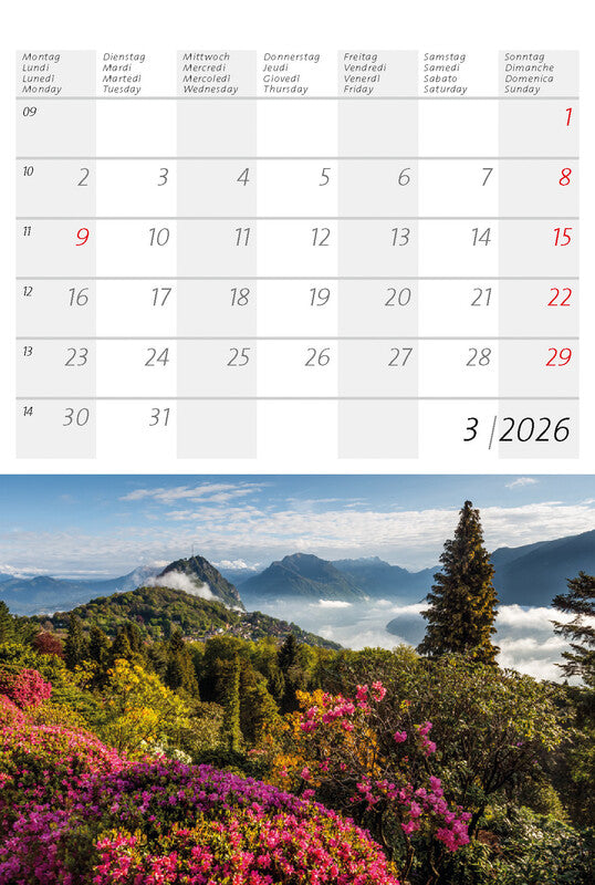 Calendaria Postkartenkalender 2026 – 14,8 × 22 cm – mit 12 Postkarten, mit Aufhänger