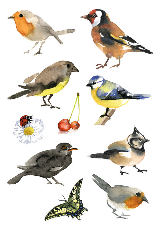HERMA Schmucketiketten – Motiv Aquarell Vögel – Papier, Hochglanz, 30 Stück, 3 Bögen
