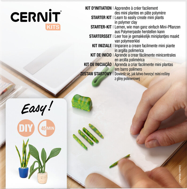 Cernit Mini-Pflanzen Modellierset – 4 Blöcke à 25 g, Modellierwerkzeuge – 150 × 150 × 30 mm