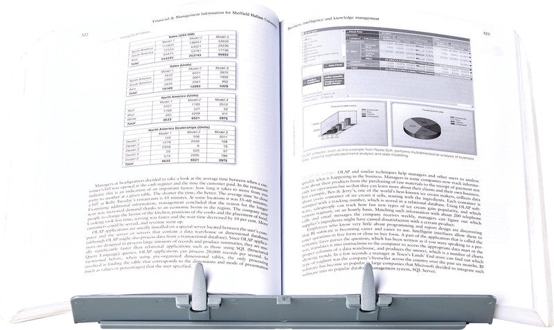 Fellowes Stiftschlaufe – Kunststoff, Silber, 295 × 244 mm