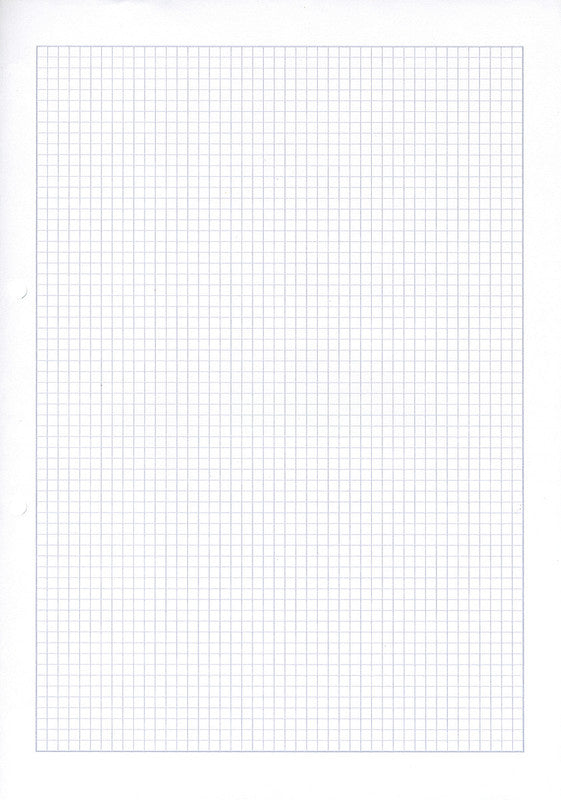 Ingold-biwa Notizbuch-Einlagen A4, kariert 4 mm, mit Rand, 2-fach gelocht, 90 g/m² – 500 Blatt