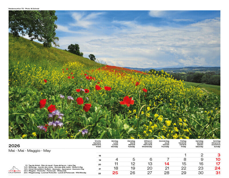 Calendaria Bildkalender Swiss Panorama 2026 – 40 × 31 cm – mit Aufhänger, mit Kartonrückwand