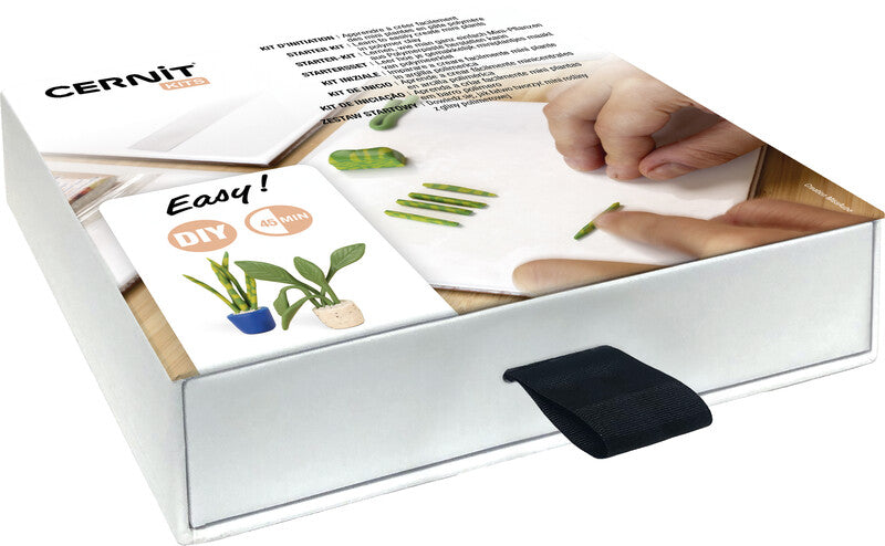 Cernit Mini-Pflanzen Modellierset – 4 Blöcke à 25 g, Modellierwerkzeuge – 150 × 150 × 30 mm