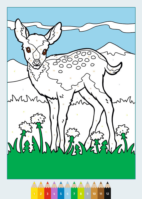 Ravensburger Malen nach Zahlen Malbuch, Karton, 21 × 29,5 cm, mehrfarbig, ab 5 Jahren