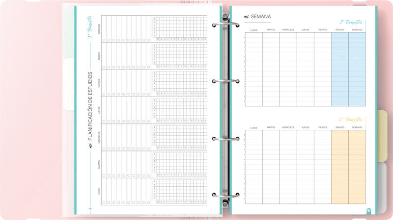 Carchivo Ringbuch – A4 Hochformat – 4-Ring, Ø 35 mm, Rücken 40 mm – Pink, Kunststoff, mit Raumsparösen