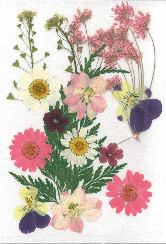 Stafil Getrocknete gepresste Blumen – Hellrosa, 130 × 180 mm, 1 Stück – zum Verzieren
