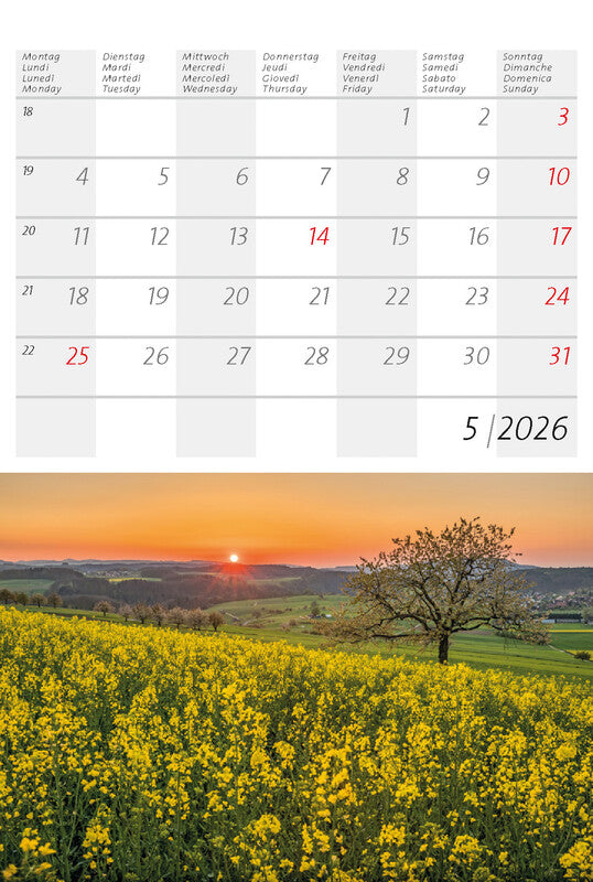 Calendaria Postkartenkalender 2026 – 14,8 × 22 cm – mit 12 Postkarten, mit Aufhänger