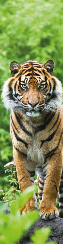 Mapcards.net Lesezeichen – Bengal-Tiger, Kunststoff, 21,5 × 5,5 cm, sortiert, einseitig bedruckt