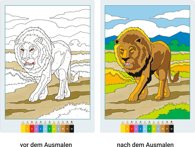 Ravensburger Malbuch, Karton, 21 × 29,5 cm, mehrfarbig, ab 7 Jahren