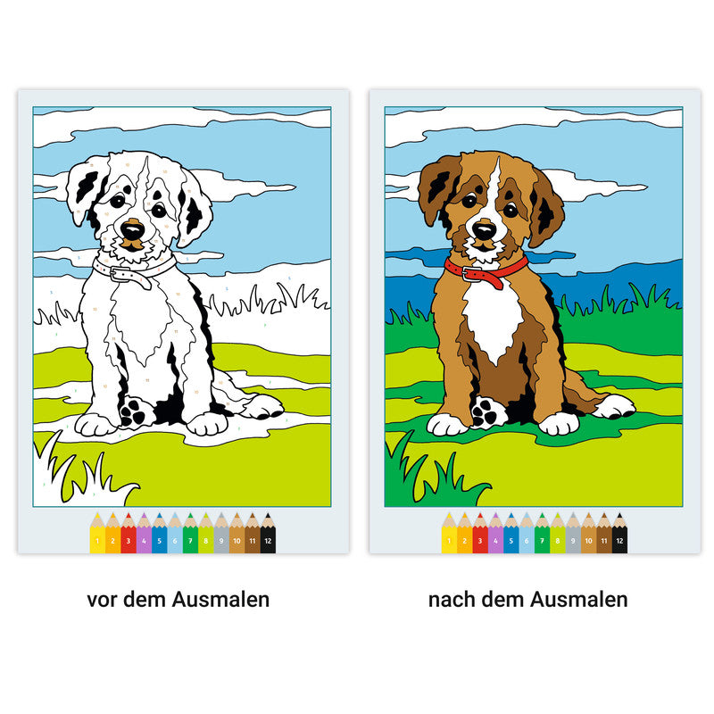 Ravensburger Malen nach Zahlen Malbuch, Karton, 21 × 29,5 cm, mehrfarbig, ab 5 Jahren