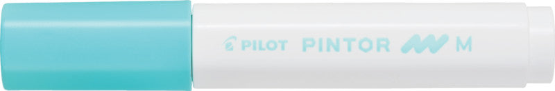Pilot Pigmentmarker Pintor – Rundspitze 1,5-2,2 mm – Sortiert – 10er-Set – Für dunkles Papier geeignet