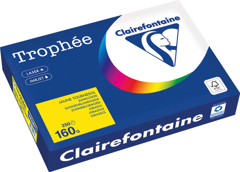 Clairefontaine Kopierpapier 2013 A4, 160 g/m² 2013 für Inkjet/Laser/Kopierer 2013 FSC, EU Ecolabel 2013 25