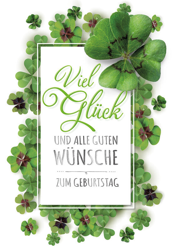Kurt eulzer Geburtstagsgrusskarte – 120 × 180 mm – mit Umschlägen, Text DE, Karton, 6er Pack