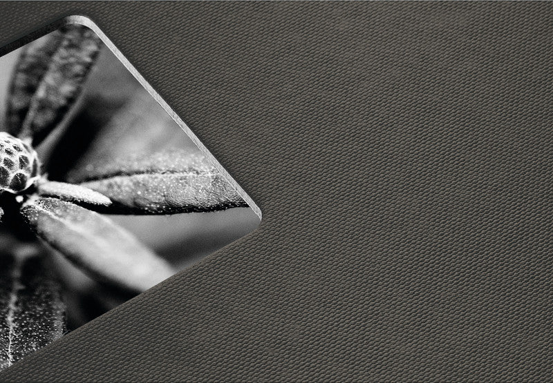 Hama Fotoalbum – für 240 × 170 mm, schwarz, mit Pergaminzwischenblättern, Papier