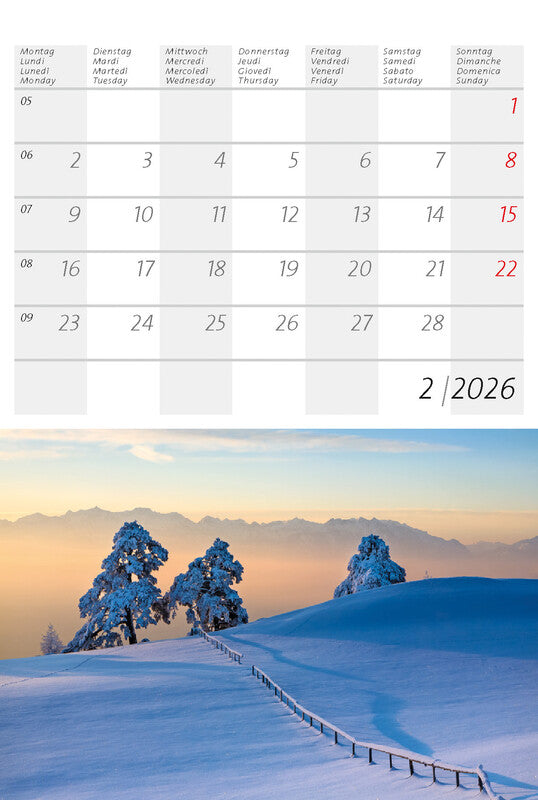 Calendaria Postkartenkalender 2026 – 14,8 × 22 cm – mit 12 Postkarten, mit Aufhänger
