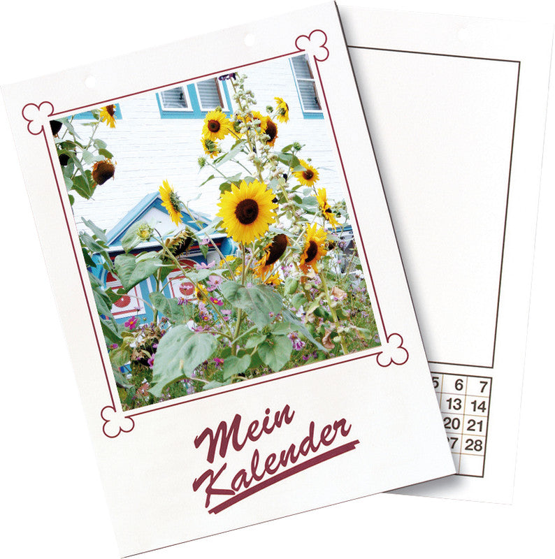 Folia Bastel-Dauerkalender Mein Kalender immerwährend – 21 × 29,7 cm – mit Tagesfeldern, lose Blätter