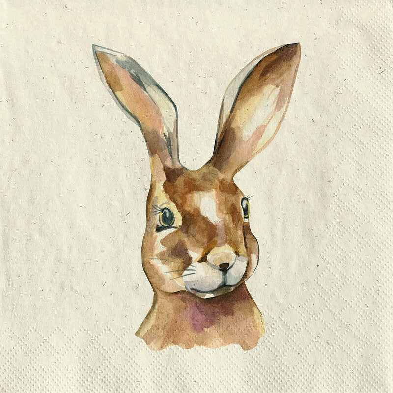 Fasana Servietten Mr Rabbit – 24 × 24 cm – 3-lagig, Gras-Zellstoff – 20 Stk., FSC