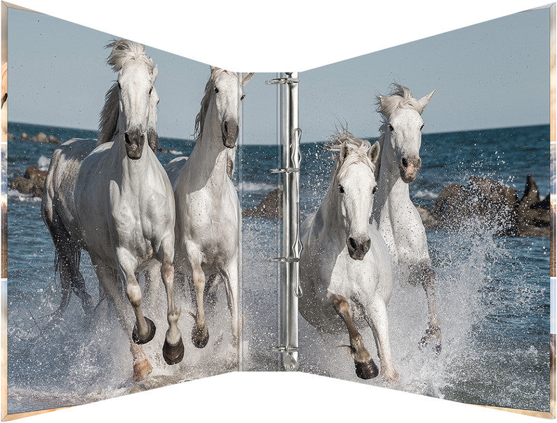 HERMA Zeigebuch – A4 Hochformat – 4-Ring Bügelmechanik, 35 mm Rücken – Mehrfarbig, Karton, mit Niederhalter
