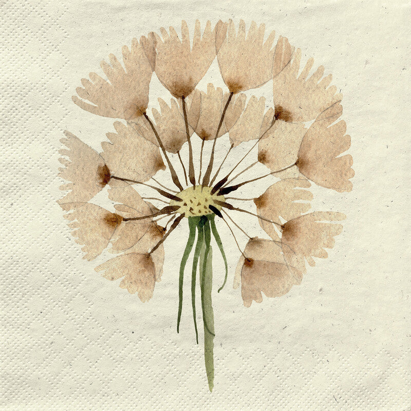 Fasana Servietten Modern Dandelion – 33 × 33 cm – 2-lagig, Tissue – 20 Stk., FSC