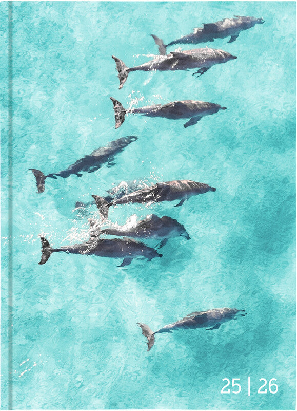 Biella mydiary Schüleragenda – 1 Tag pro Seite, gebunden, 12 × 16,5 cm, Aug–Jul, Animal, FSC