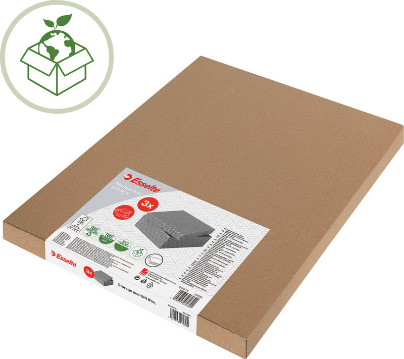 Esselte Archivschachtel A4 – mit Deckel, 265 × 100 × 360 mm, grau, Karton, 3er Pack