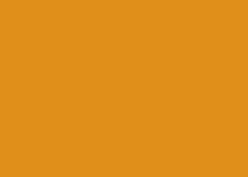 Clairefontaine Kopierpapier – A4, 160 g/m², Orange – für Inkjet/Laser/Kopierer – FSC, EU Ecolabel – 250 Blatt