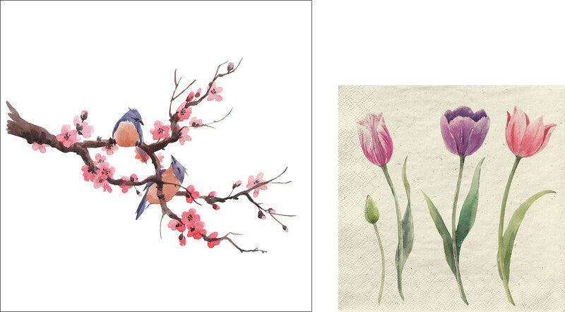 Fasana Servietten Colourful Spring – 33 × 33 cm – 3-lagig, Tissue – 20 Stk., FSC