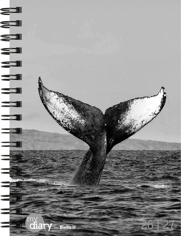 Biella mydiary Schüleragenda – 1 Woche/2 Seiten, Spiralbindung, 12 × 16,5 cm, Aug–Jul, Whale, FSC