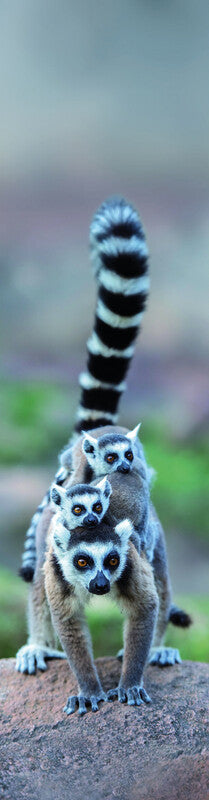 Mapcards.net Lesezeichen – Lemur Familie, Kunststoff, 21,5 × 5,5 cm, sortiert