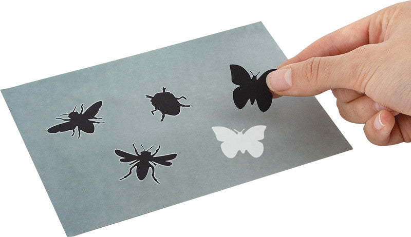 Trendhaus Naturdruckpapier-Set Meine Bienen-Freunde – 8 Naturdruckpapiere – 155 × 202 mm